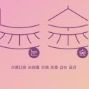눈숲 네이버블로그