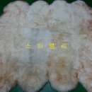 스타세탁·수선 이미지