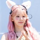 핑크래빗