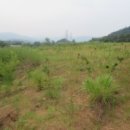 청용2리 이미지