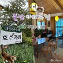 대둔산수락호수카페