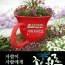 010모터스 이미지