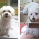 나들가게 정문 이미지