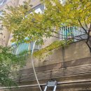 신현대타운 이미지