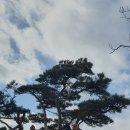 팔공산맥 이미지