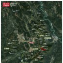 2024 오운산 &amp; 차나무 보이차 선주문 - 일출(뢰달산 단주)