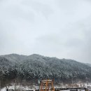 레몬펜션 이미지