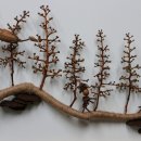 인천나비공원 이미지