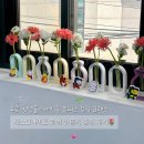 (주)모루미디어개발 | 관악구 청년 힐링 프로그램 제스모나이트 화병 출강 후기