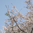 주식회사 만개 - 강남구 | 주식회사 만개