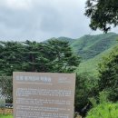 안덕면 문화마을 내 | 가볼만한 곳 #48 포항시 영일대 포항죽도시장 덕동문화마을 여행후기