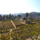 입지목장 이미지