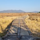 함평 고막천석교 이미지