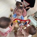 물개스테이 이미지