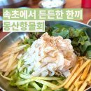 동산항물회 속초점 | 속초 동산항물회 내돈내산 회덮밥 후기 체스터톤스 근처 맛집
