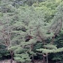 수정로120번길 | 용한 성남점집에서 점사보고 마음을 가다듬기 위해 기도다니는 중