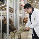 화성축산 수원시민신문
