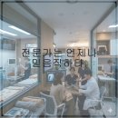 잠실베스트동물메디컬센터 | 반려동물 건강을 지키기 위한 동물병원 선택 팁과 유의사항 안내