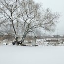 도원농원 이미지