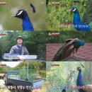 공이농장 이미지