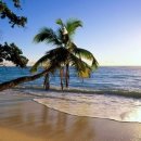 푸른바다 이미지