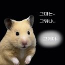 (주)펫월드 이미지