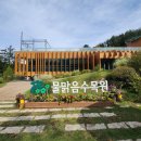 남양주 나들이 하기 좋은 : 물맑음 수목원