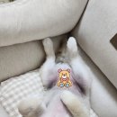 (주)이츠케이