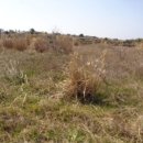 월령리(월령포구) 이미지