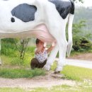 현모목장 이미지