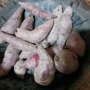 시티이용소 이미지