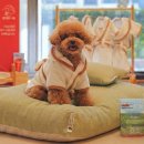 신화환경㈜ 이미지