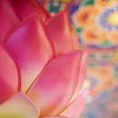 서림동-3 이미지