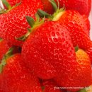 선한농장 이미지