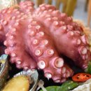 카카오 이미지