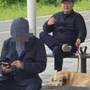 내란특검, 윤석열 구속영장 청구... 탈옥 120일 만... 이미지