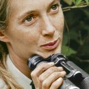 gc-camera-049 이미지