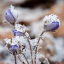 석수농장 이미지