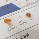 강승희제과제빵커피학원 이미지