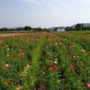 송암농원 이미지