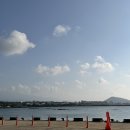 정민마트 | 제주도/조천수산야장/18코스편의점/캠핑/이용후기