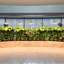 진도가든 이미지