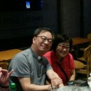 사르넬리 이미지