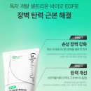 탄탄온누리약국 이미지