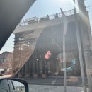 융건릉 카페 추천 “시노퍼” 내돈내산 후기 (베이커리 메뉴, 좌석)