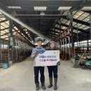 부부일랑 이미지