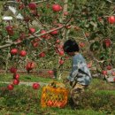 한울농원 이미지