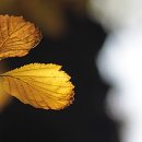 소곤소곤 이미지