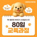반려견스타일리스트 자격취득과정-기초 | 반려견스타일리스트 3급 자격증, 이제 80일이면 준비 끝!