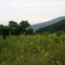 축령산휴림 이미지